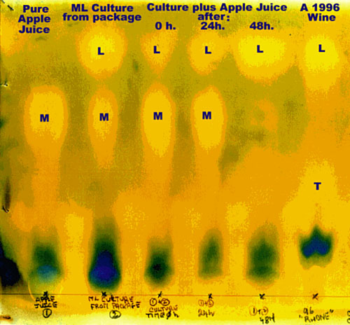 Chromatography before malolactic fermentation